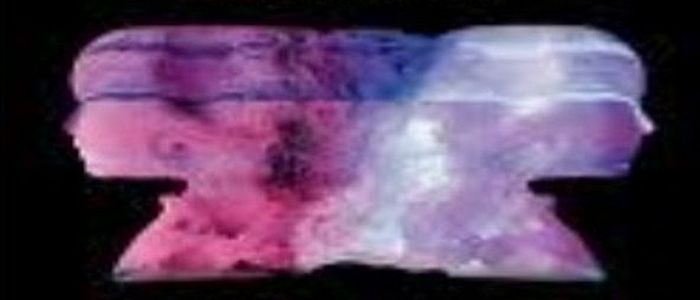 Image for Psychopathology of the Self: Implications for Philosophy