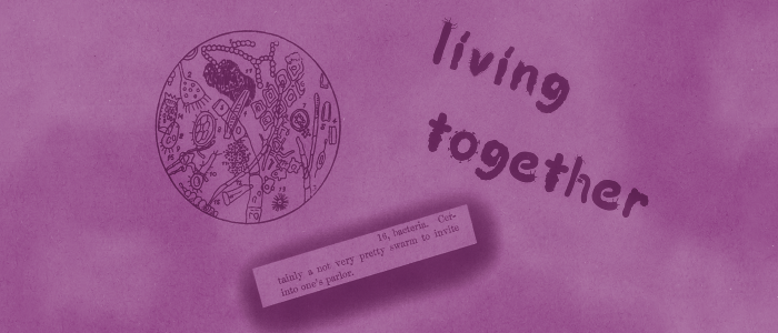 Image for Scottish Gut Project: 'Living Together' Film Screening