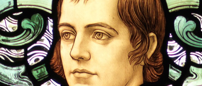 Image for Burns and the Environment