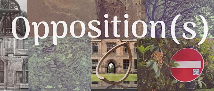 Image for Opposition(s)