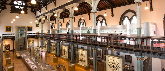 Image for Hunterian Museum evening event for all University staff 