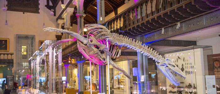 Image for Oidhche san Taigh-tasgaidh| Night at the Museum