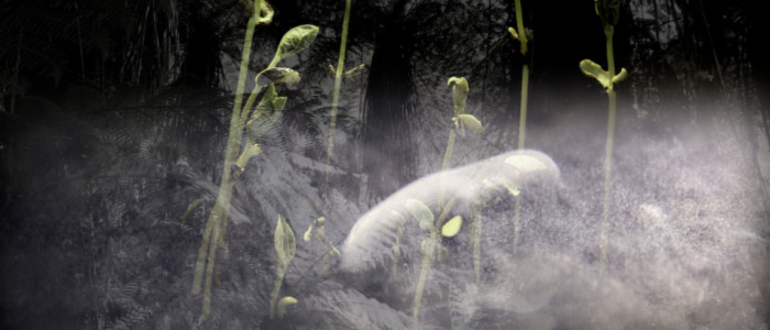 Image for Susan Eyre: Artist Talk and Cloud Chamber Demonstration