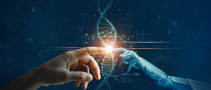 Image for Innovation‑driven Productivity: Clusters, Technology and Growth