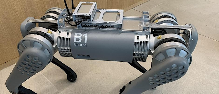 Image for Winter Fun with the Robot Dog