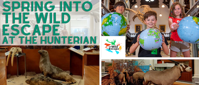 Image for Spring into The Wild Escape, Hunterian Zoology Family days