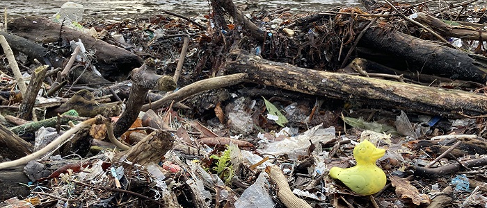 Image for The Stràilleach Golamas: getting to grips with the reality of beached marine litter