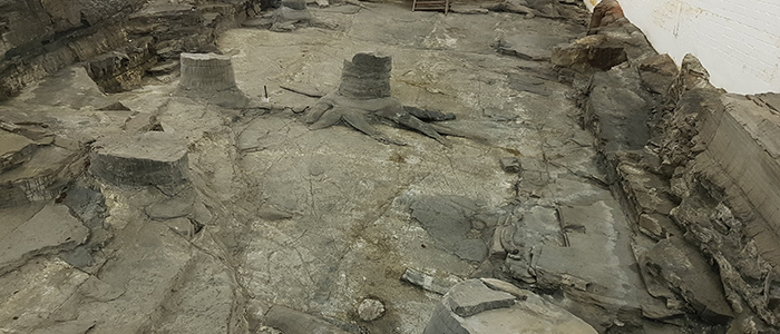 Image for Geological Society of Glasgow Lecture Series