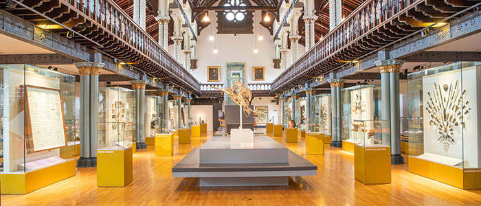 Image for Rock Doctors at the Hunterian Museum