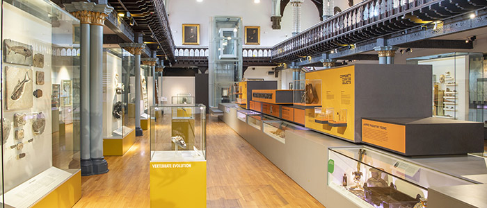 Image for The Emotional Museum - Listening Party