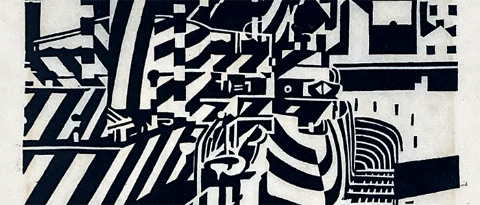 Image for Friday Focus - The Art of Camouflage