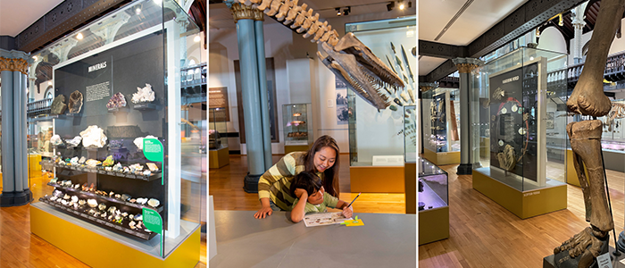 Image for Family Day at the Hunterian Museum