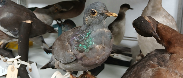 Image for 2601: Future Museum