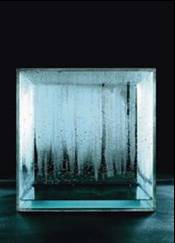 Hans Haacke, Condensation Cube 1963