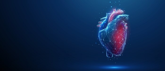 An illustration of a heart on a blue background