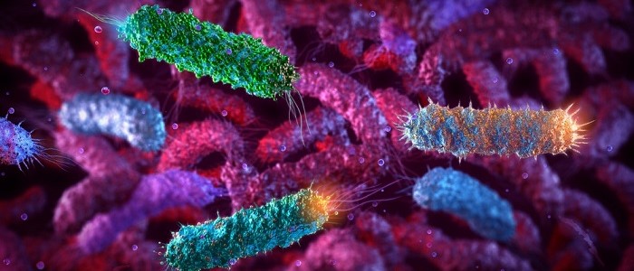 A graphic of E.coli bacteria